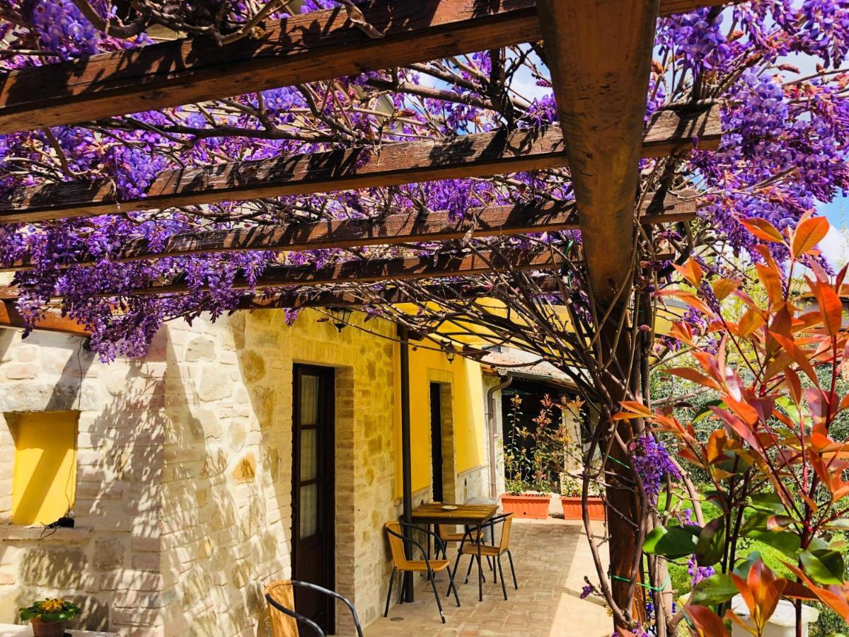 Il Cortile Delle Rose Holiday House Perugia Eksteriør bilde